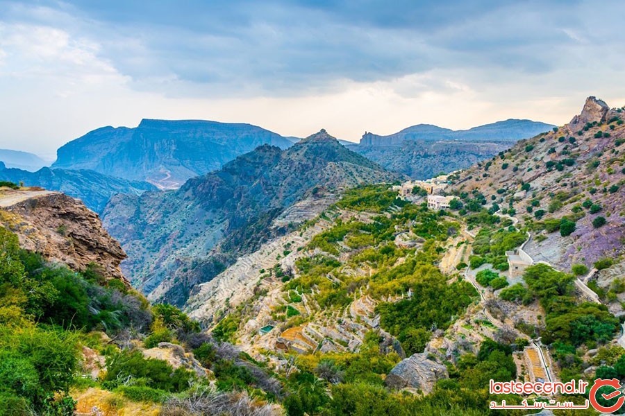 جبل اخضر عمان