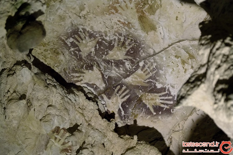 قدیمی ترین نقاشی از حیوانات در یک غار مخوف یافت شد