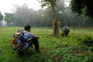 Chitwan National Park-01.jpg