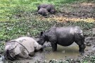 Chitwan National Park-05.jpg