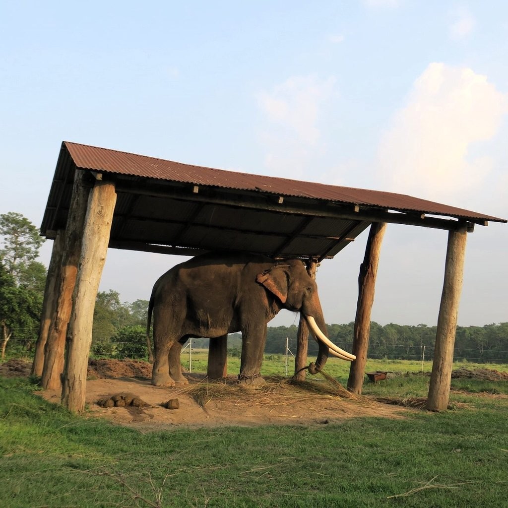 Chitwan National Park-02.jpg