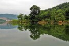 Lafoor Forestry (4).jpg