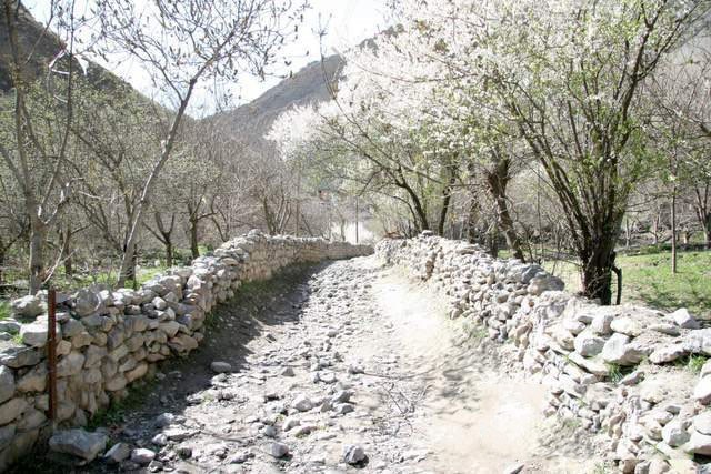 village Jagharq (5).jpg