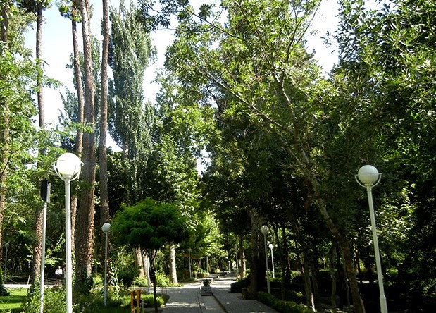 Park (6).jpg