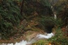 Alangdarreh Jungle (8).jpg