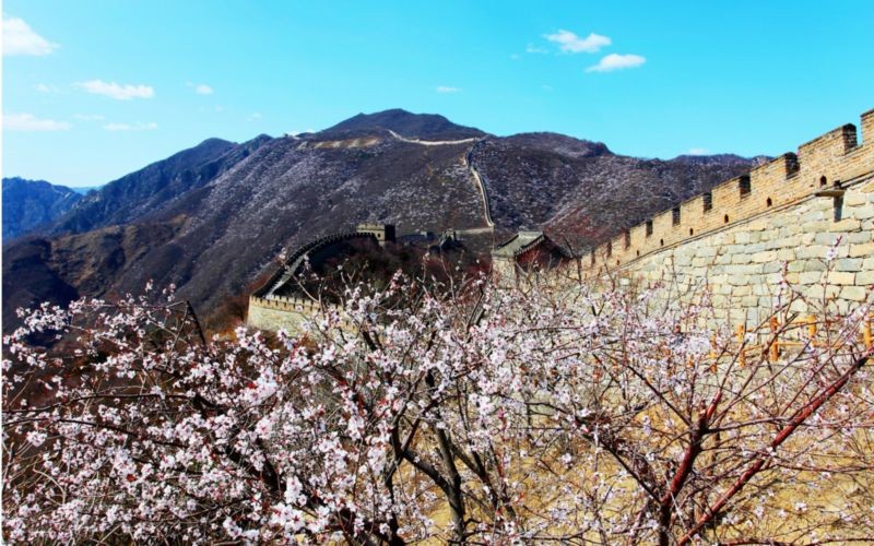 Mutianyu Great Wall (9).jpg