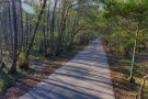 Gisum Forest Park (1).jpg
