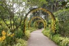 singapore-botanic-gardens.jpg