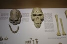 Tbilisi History Museum (5).jpg
