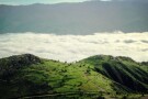 Clouds Forest (2).jpg