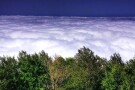 Clouds Forest (5).jpg