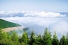Clouds Forest (3).jpg