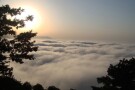 Clouds Forest (1).jpg