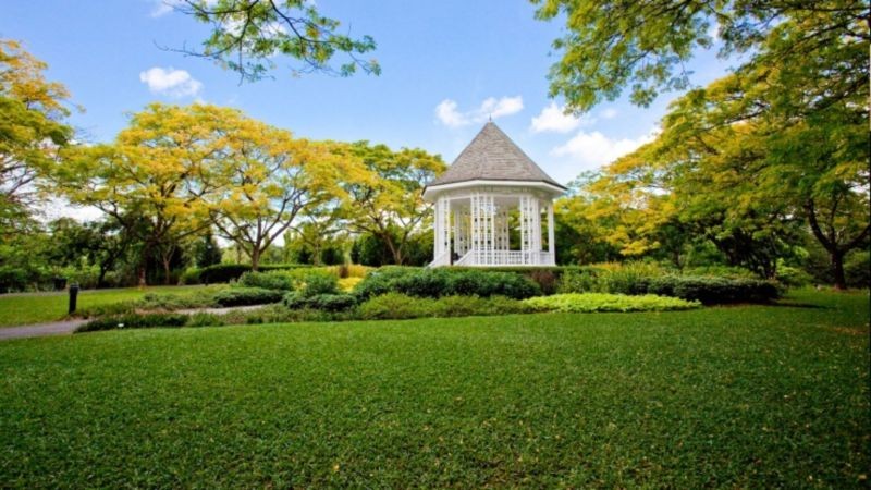 Singapore Botanic Gardens (1).jpg