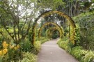 Singapore Botanic Gardens (2).jpg