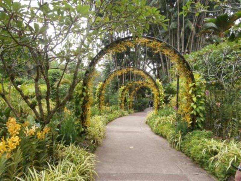 Singapore Botanic Gardens (2).jpg