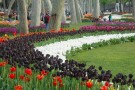 Gulhane Park-02.jpg
