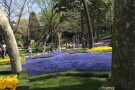 Gulhane Park-06.jpg