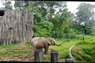 Zoo Negara (8).jpg