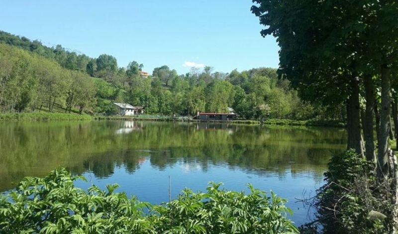 Halimeh Jan Lake (2).jpeg
