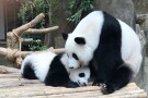 Zoo Negara (6).jpg