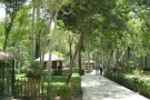 Birds Garden (4).jpg