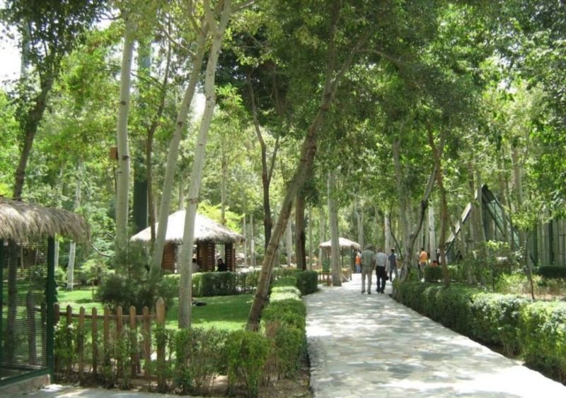 Birds Garden (4).jpg