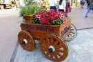 Forum Bornova Shopping Mall (2).jpg