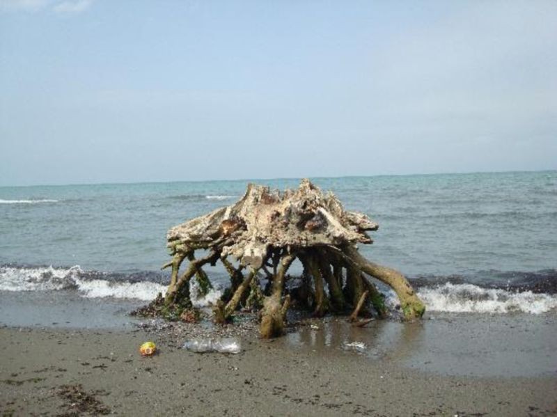 Gisoom Beach (1).jpg