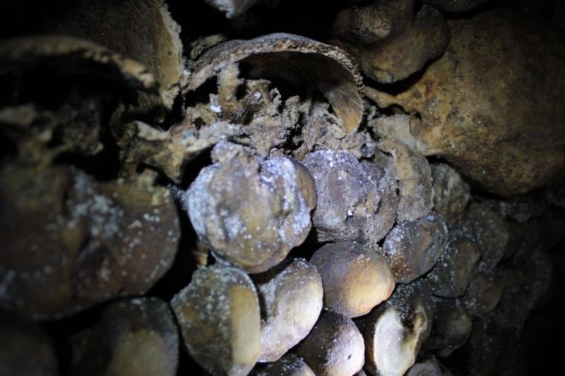 The Catacombs of Paris (2).jpg