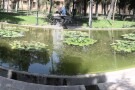 Negarestan Garden (2).jpg