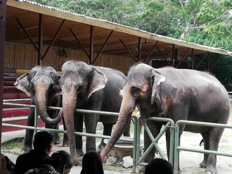 A Famosa Park Wild Life (5).jpg