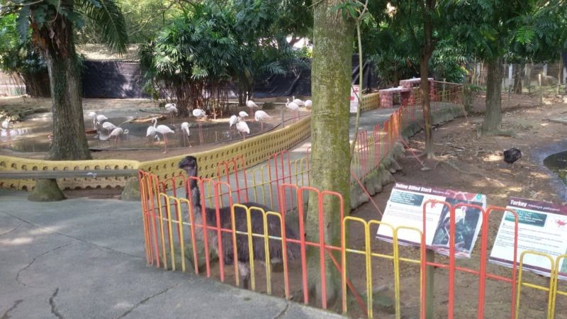 A Famosa Park Wild Life (3).jpg