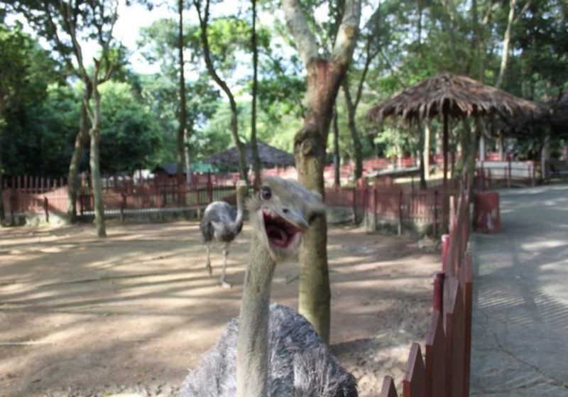 A Famosa Park Wild Life (4).jpg