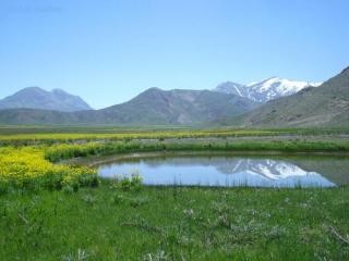 منطقه حفاظت شده لار (1).jfif