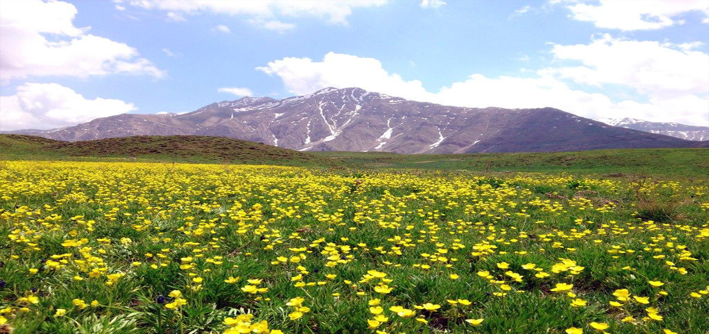منطقه حفاظت شده لار (2).jpg