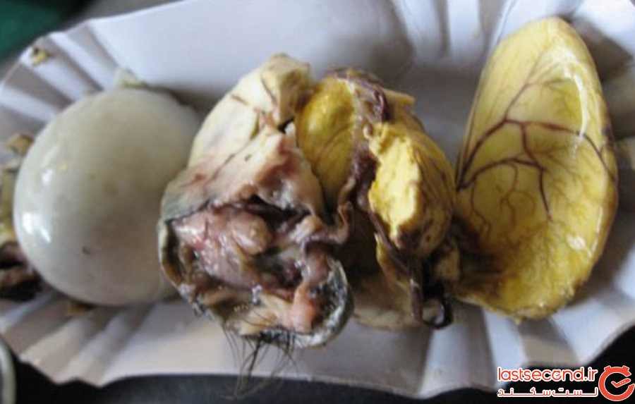 جنین اردک نیمپز