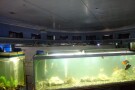 Batumi Aquarium (2).jpg