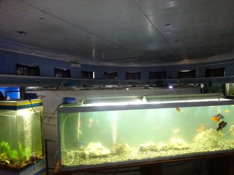 Batumi Aquarium (2).jpg