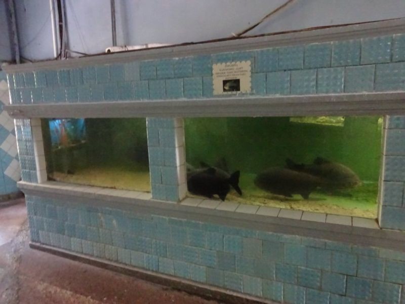 Batumi Aquarium (3).jpg