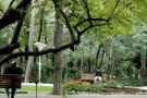 Qeytarieh Park (4).jpg