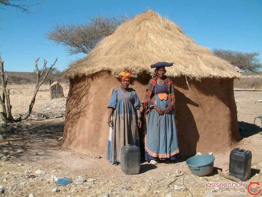 گله Himba ، نامیبیا