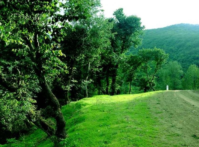 روستای افجه (3).jpg