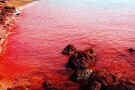 Red Beach Hormoz (1).jpg