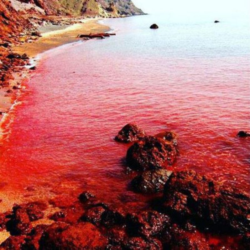 Red Beach Hormoz (1).jpg