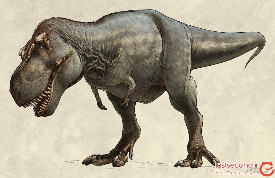 کشف بقایای بزرگترین دایناسور گوشتخوار دنیا