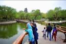 Mellat Park (5).jpg