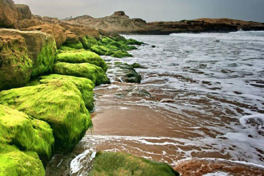 ساحل صخره ای (5).jpg