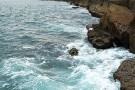 ساحل صخره ای (3).jpg