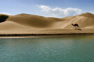 ساحل درک (4).jpg